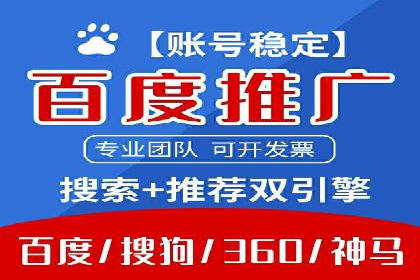 专业竞价SEM托管成功案例解析